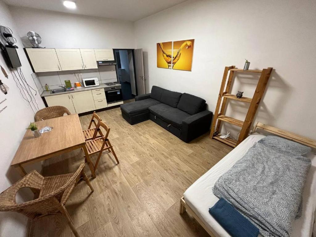 Apartments Near The Center With Privat Parking Brno Dış mekan fotoğraf
